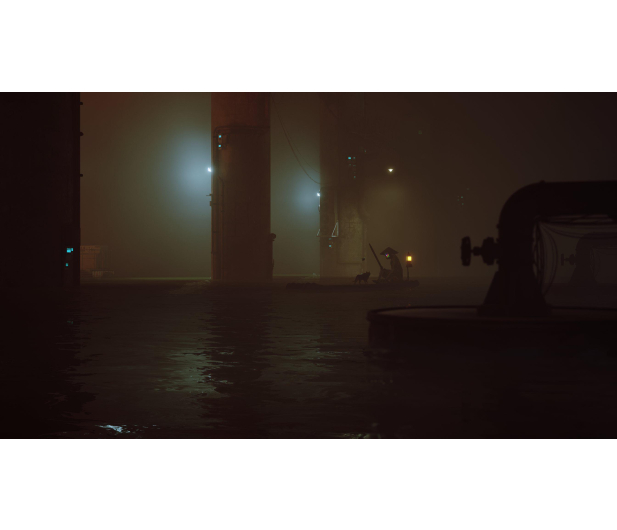 PlayStation Stray - 1056376 - zdjęcie 12